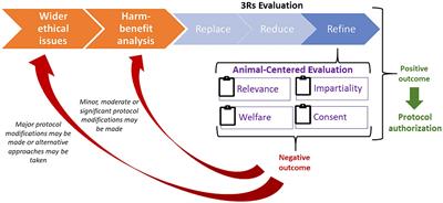 Toward an integrated ethical review process: an animal-centered research framework for the refinement of research procedures